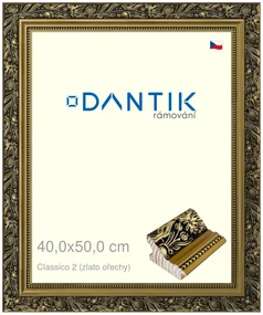 DANTIK rám na obraz 40x50 | Claico 2 (zlato ořechy) (Sklo Čiré)