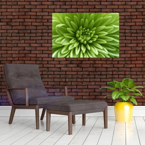 Obraz - Makro snímka rastliny (90x60 cm)