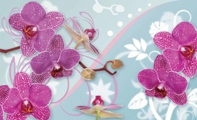 Fototapeta - Orchidea (152,5x104 cm)