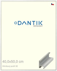 DANTIK rám na obraz 40x50 | ALU Dýha barevná šedá světlá (Plexi Čiré)