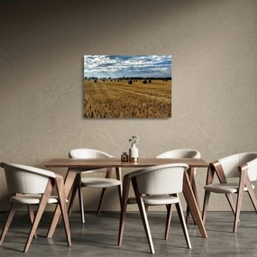 Sklenený obraz zozbieraného obilného poľa (70x50 cm)
