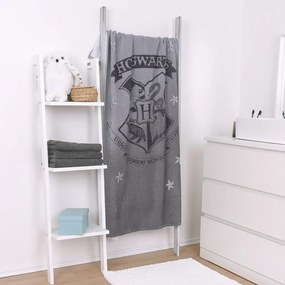 Herding Uterák Harry Potter 75x150 cm