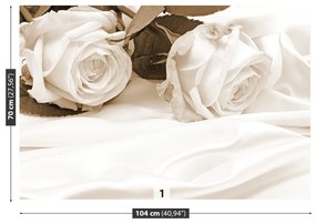 Fototapeta Vliesová Ruže sépia 250x104 cm