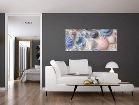 Obraz - Zbierka mušlí (120x50 cm)