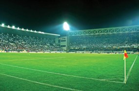 Fototapeta - Futbalové ihrisko (152,5x104 cm)