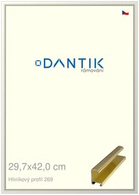 DANTIK rám na obraz 29,7x42 | ALU Zlatá lesklá (Plexi Čiré)