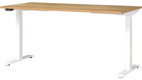 Pracovný stôl s elektricky nastaviteľnou výškou s doskou v dekore duba 80x160 cm Jet – Germania