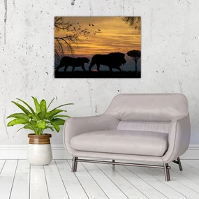 Sklenený obraz Safari (70x50 cm)