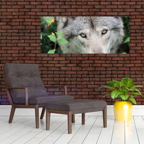 Obraz - Portrét vlka (120x50 cm)