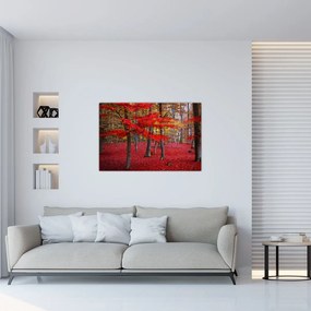 Obraz - Červený les (90x60 cm)