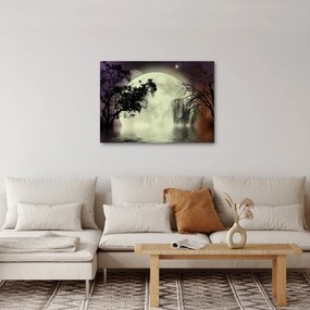 Obraz - Spln nad hladinou (70x50 cm)