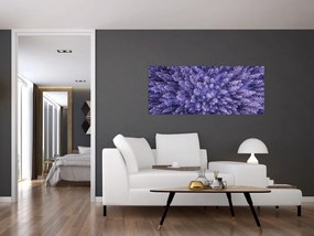 Obraz zasnežených stromov (120x50 cm)