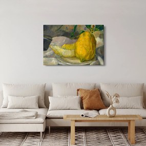 Obraz - French 19th Century, Melon and Lemon, reprodukcia (90x60 cm)