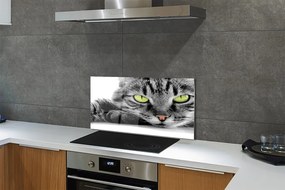 Nástenný panel  šedočierna mačka 100x50 cm