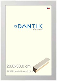 DANTIK rám na obraz 20x30 | PASTELKA bílá rovná (Sklo Čiré)
