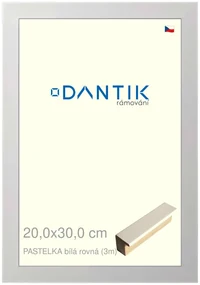 DANTIK rám na obraz 20x30 | PASTELKA bílá rovná (Sklo Čiré)