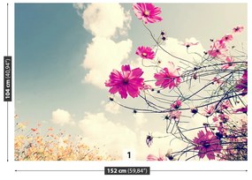 Fototapeta Vliesová Vesmír kvety 312x219 cm