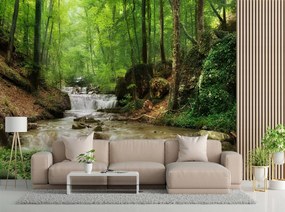 Gario Fototapeta Voda uprostred lesa Materiál: Vliesová, Rozmery: 200 x 140 cm
