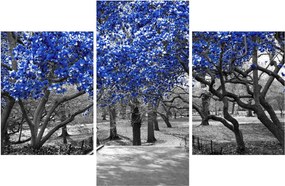Obrázok - Modré stromy, Central Park, New York (90x60 cm)