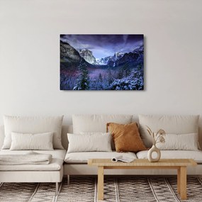 Obraz - Yosemite, USA (90x60 cm)