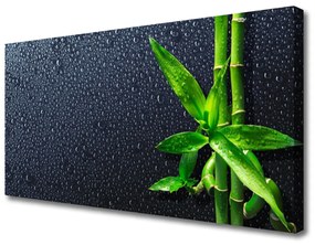 Obraz Canvas Bambus stonka rastlina príroda 120x60 cm