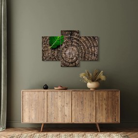 Obraz listu na kmeni stromu (90x60 cm)