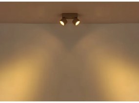 Globo 56961-2S - LED bodové svietidlo RAE 2xLED/6W/230V