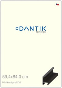 DANTIK rám na obraz 59,4x84 | ALU Dýha černá (Plexi Čiré)