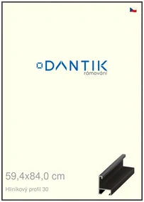 DANTIK rám na obraz 59,4x84 | ALU Dýha černá (Plexi Čiré)