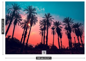 Fototapeta Vliesová Tropické palmy 312x219 cm