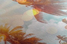 Obraz lúče slnka medzi palmami Varianta: 120x80