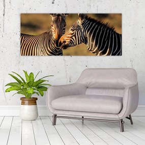 Obraz - Dve zebry (120x50 cm)