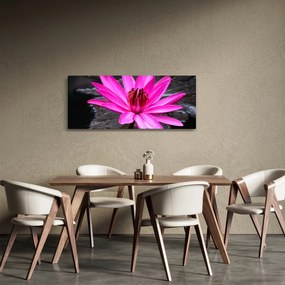 Obraz - ružový kvet (120x50 cm)