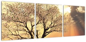 Obraz prírody - strom