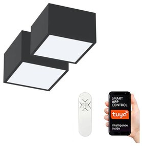 Immax Neo 07074L-15BD-Sada 2x LED Stmievateľné svietidlo CANTO 2xLED/12W/230V + DO