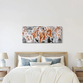 Obraz - Zamrznuté listy (120x50 cm)