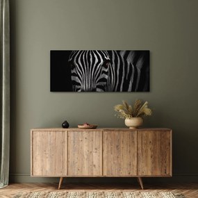 Obraz zebry (120x50 cm)