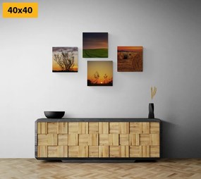 Set obrazov romantický západ slnka na lúke - 4x 60x60