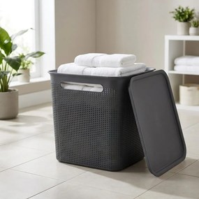 Rotho Úložný box s vekom a s madlami BRISEN 18l, 29x29x29cm, čierny