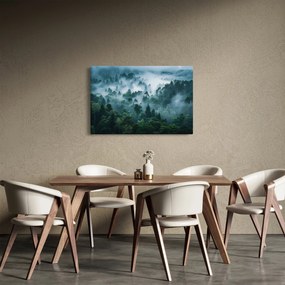 Obraz - Les v hmle (90x60 cm)