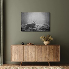 Obraz - Jeleň v lese, čiernobiela (90x60 cm)