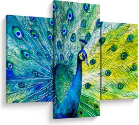 Obraz páva (90x60 cm)