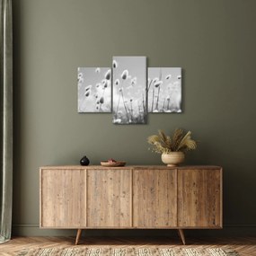 Obraz - Boho bunny tail grass (90x60 cm)