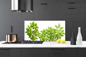 Sklenený obklad Do kuchyne Vetva listy rastlina príroda 140x70 cm