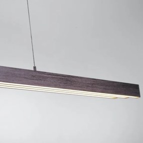 Paul Neuhaus 2568-24 - LED Stmievateľný luster na lanku ADRIANA LED/14W/230V