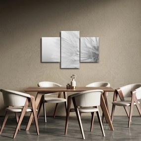 Obraz - Púpava (90x60 cm)