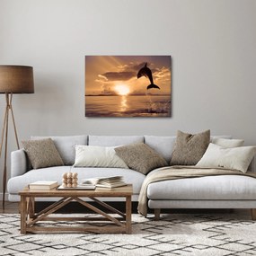 Obraz - Delfín pri západe slnka (70x50 cm)