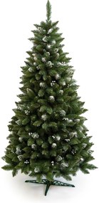 Vianočný stromček- Borovica Iza 240cm