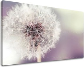 Obraz na stenu KVETY KV065E11 - 100x150 cm