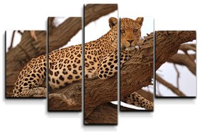Sablio Obraz - 5-dílný Leopard 2 - 125x90 cm